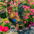 Hugo Rooster Iron Garden Statue | Zaer International | ZR220906