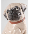  Puppy Pug Porcelain Figurine | Lladro | LLA01009689