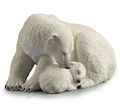 Polar Bear Cub Cuddling With Mom | WU75396VA