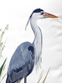 Heavily Embroidered Blue Heron and Saltmarsh Indoor/Outdoor Pillow | GIIR775030010