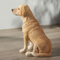  Yellow Labrador Retriever | USIWU78157AA