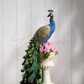 Colorful Peacock Perching on Column | USIWU78180AA