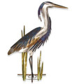 Blue Heron Facing Right with Patina Reeds Stainless Wall Art | TIMM124