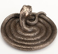 Coiling Snake Trinket Dish | USIWU78356A1