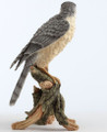 Sparrow Hawk on Branch Sculpture | USIWU78388AA
