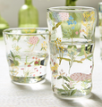 Set of 6 Hand Painted French Wildflower Double Old Fashion Glasses "Garden Delight" | TC55058
