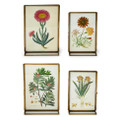 Set of 2 Double Sided Metal Photo Frames with decorative flower prints | TC55318
