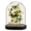 Flora and Fauna Butterflies in Oval Dome Sculpture | TCFNG006-GRN