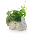 Turkey Cachepot / Centerpiece | TC82555