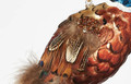 Handmade Feather Pheasant Glass Ornament | OHEDTT1113