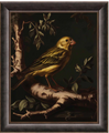 Limited Edition Yellow Warbler Canvas "Radiant Melody" (WWD172803)