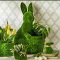 Faux Moss Bunny With Basket Cachepot | TC82173 - Front