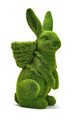 Faux Moss Bunny With Basket Backpack Cachepot | TC82173 - Back