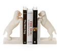Playful Puppy Dog Set of 2 Book Ends | TC55320)