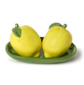 Lemon Grove Salt and Pepper Shaker Set on Tray in Gift Box | TC55454