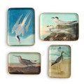 Sea Bird Metal Trinket / Desk Tray | TC55525