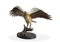 Majestic Eagle on Branch