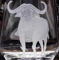 African Safari Crystal Stemless Wine Glass Set of 4 | EC673-AF-Safari/4