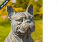  Set of 2 French Bulldog Statues in Grey-Bronze | ZR136030-GBS