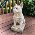 Set of 2 French Bulldog Statues in Creamy Terracotta | ZLIZRZR136030-GTS