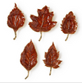  Set of 5 Food Safe Enameled Leaf Trays | TC82883