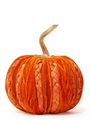 Braided Velvet Pumpkin | TC82848-20