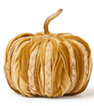 Braided Velvet Pumpkin | TC82848-20