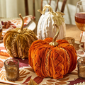 Braided Velvet Pumpkin | TC82848-20
