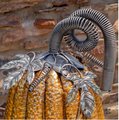 Large 46" Tall Gold-Brushed Iron Pumpkin Decoration | ZLIZR800096