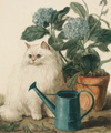 Martha Stewart Bedford | Garden Still Life: Cat in Garden | Framed Wall Art | WWDMS00036a