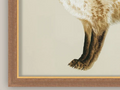 Martha Stewart Bedford | Farm Wildlife Portrait: Fox | Framed Wall Art | WWDMS00056a