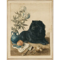 Martha Stewart Bedford | Harvest Still Life: Farm Dog Companion| Framed Wall Art | WWDMS00036c