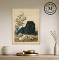 Martha Stewart Bedford | Harvest Still Life: Farm Dog Companion| Framed Wall Art | WWDMS00036c