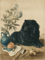 Martha Stewart Bedford | Harvest Still Life: Farm Dog Companion| Framed Wall Art | WWDMS00036c