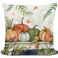 Pumpkin Table with Ferns Indoor Outdoor Pillow | MCSW2629