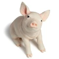 Baby Pig Sculpture | USIWU76102AA