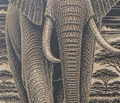 Engraved Birch Wood Panel of Elephant | BEN5514-ELEWALK