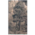 Engraved Birch Wood Panel of Ponderosa Pine | BEN5514-PONDEROSAPINE