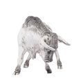 Silver Plated Bull Sculpture | 7500 | D'Argenta