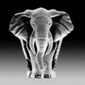 Elephant Crystal Sculpture | 33664 | Mats Jonasson Maleras
