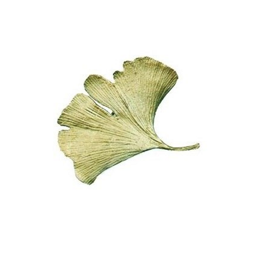 What Makes the Gingko Special?