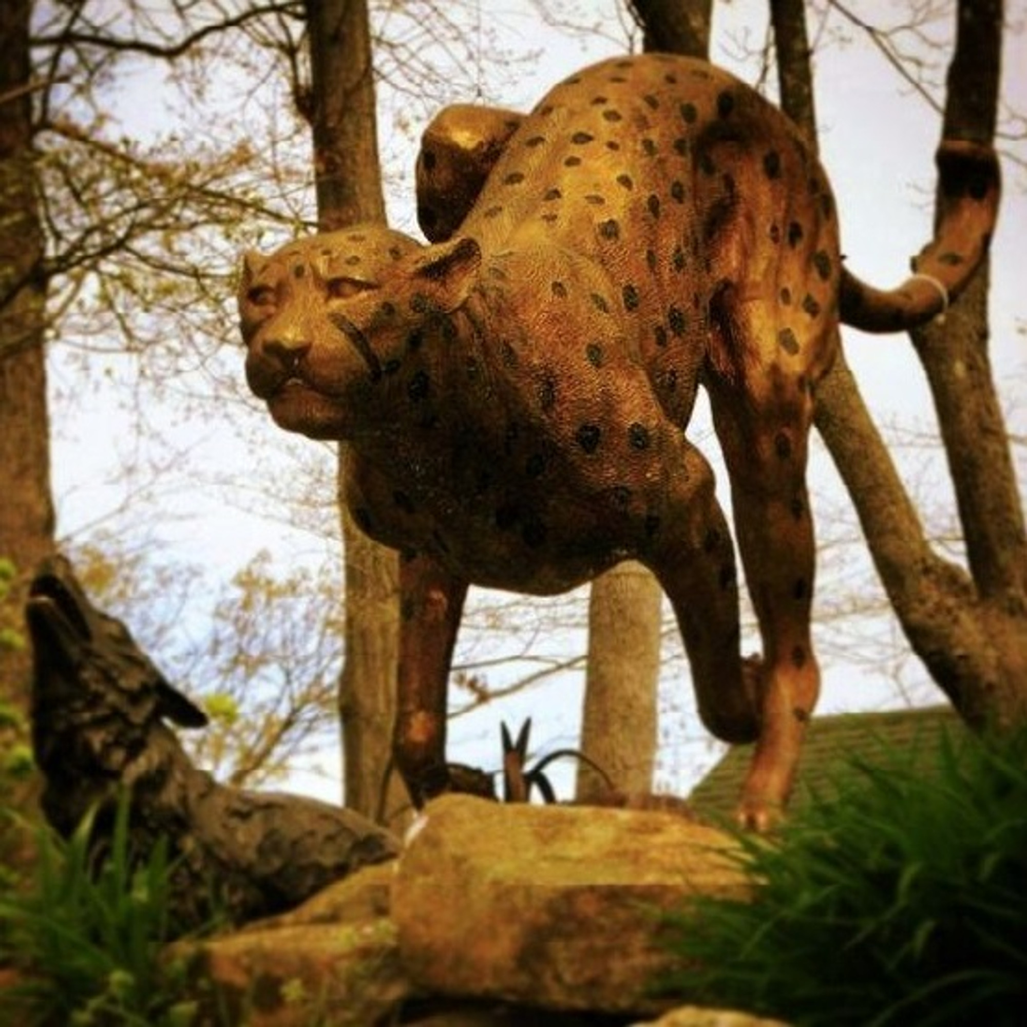 【 美品 】全長53㎝ RUNNING LEOPARD CAST BRONZE Life Size Cheetah Statue