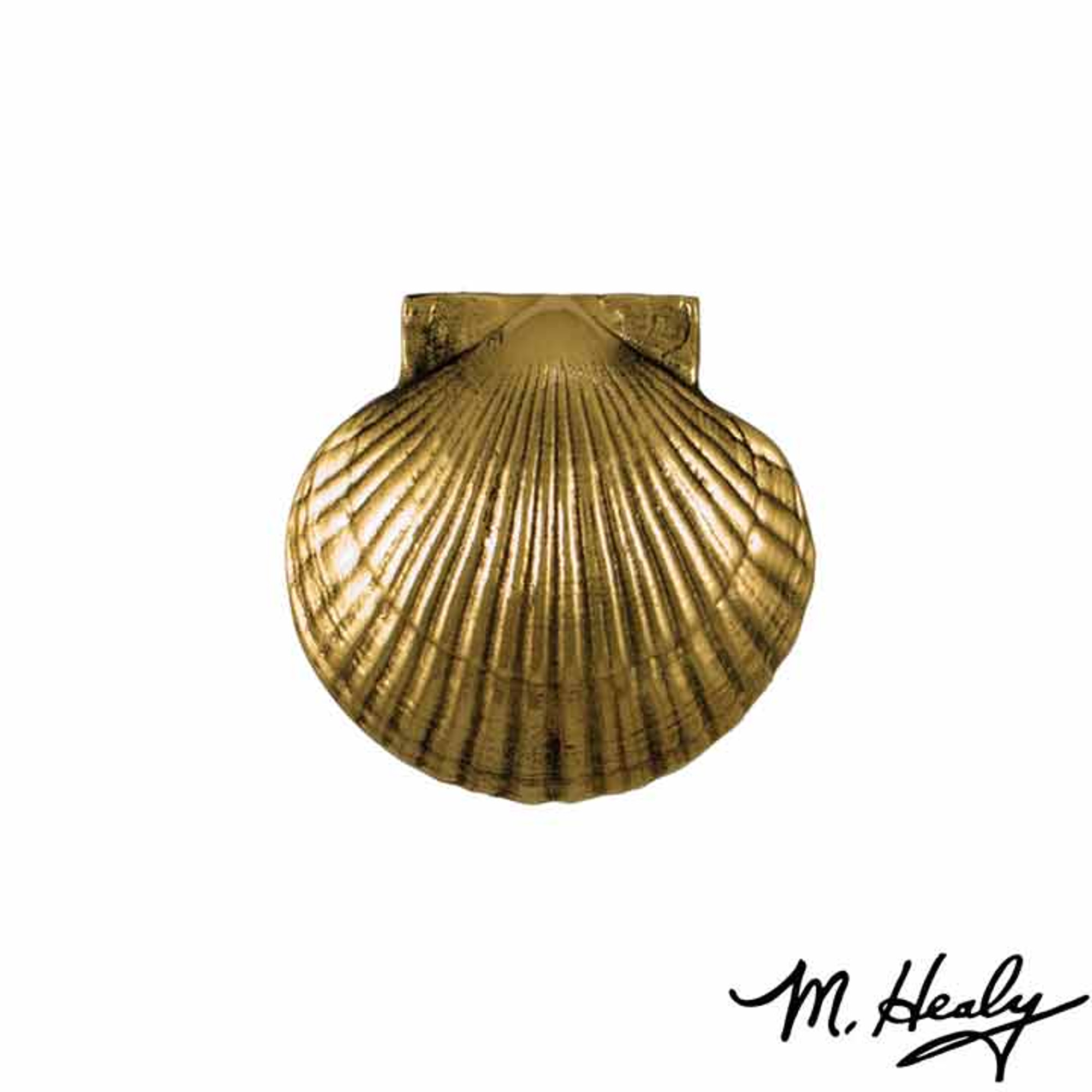 Bay Scallop Door Knocker Brass (Standard Size) by Michael Healy Designs - 2