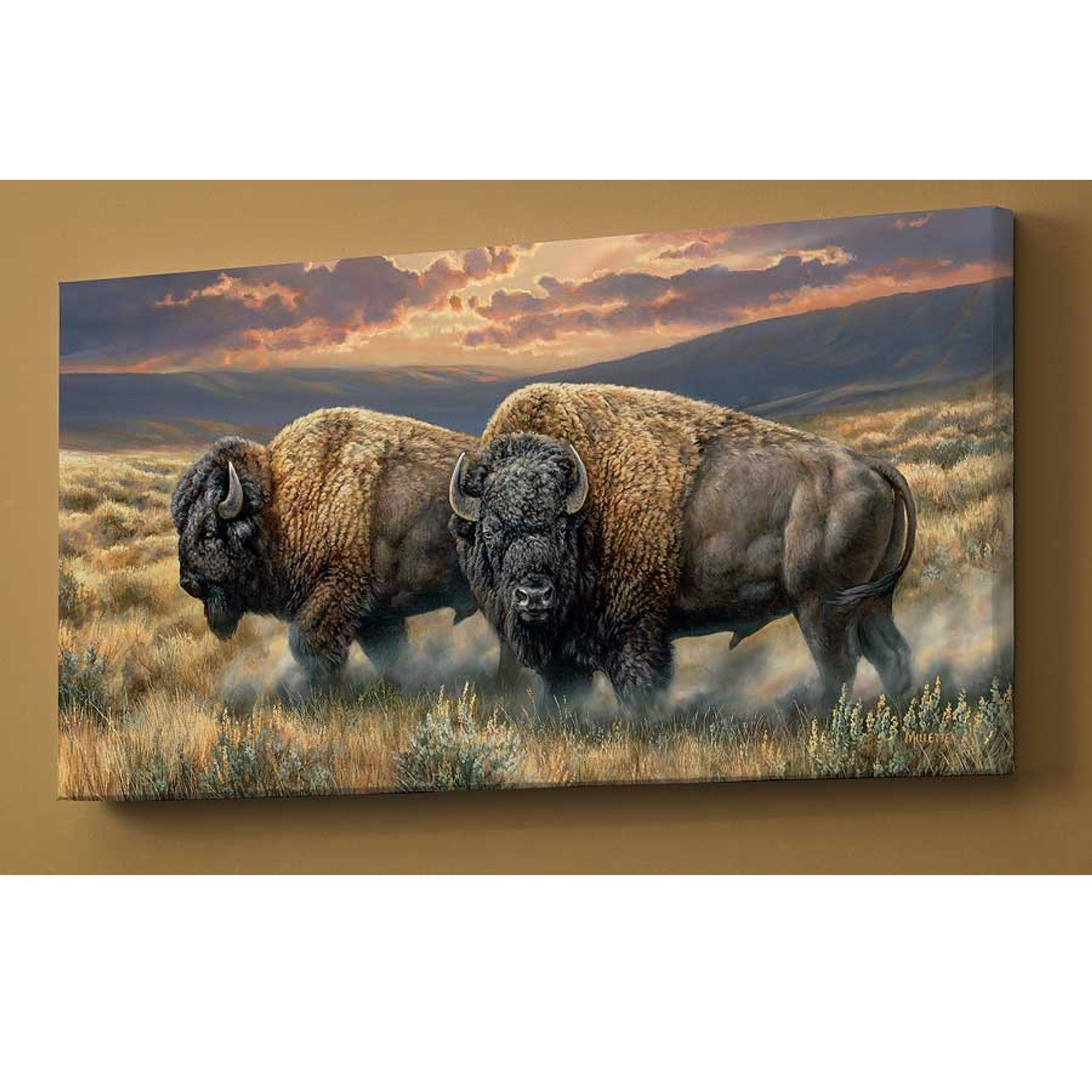 Bison Canvas Art Wrapped Dusty Plains Wild Wings