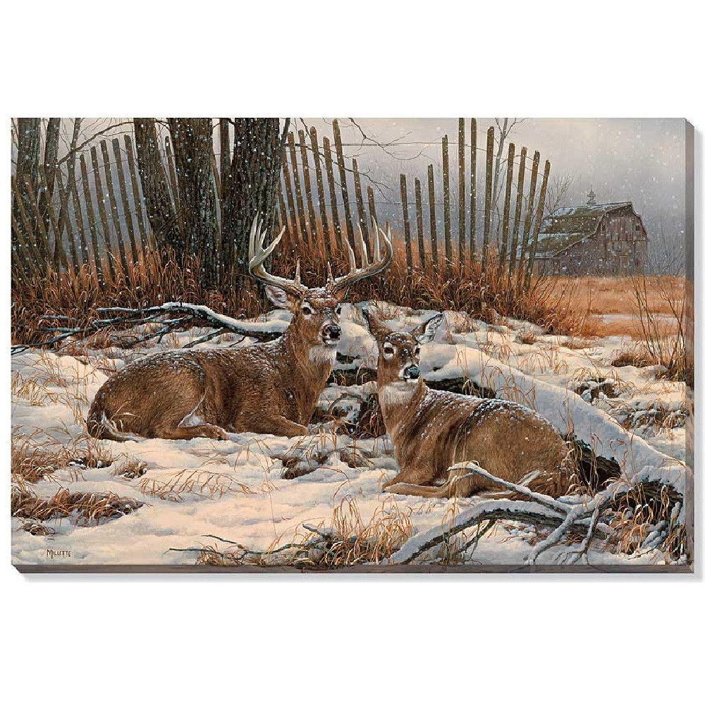 Windbreak Refuge Whitetail Deer Wrapped Canvas Giclee Print