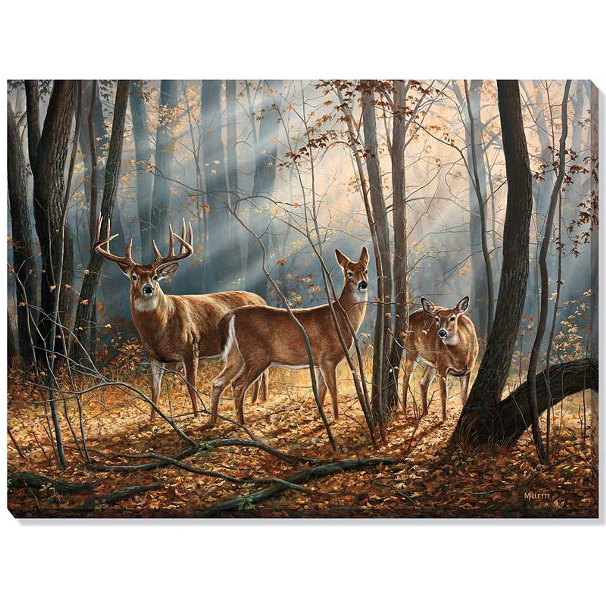 whitetail deer wall art