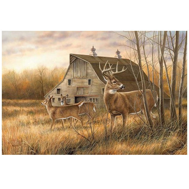 Whitetail Deer Canvas Art Wrapped Deserted Farmstead Wild Wings