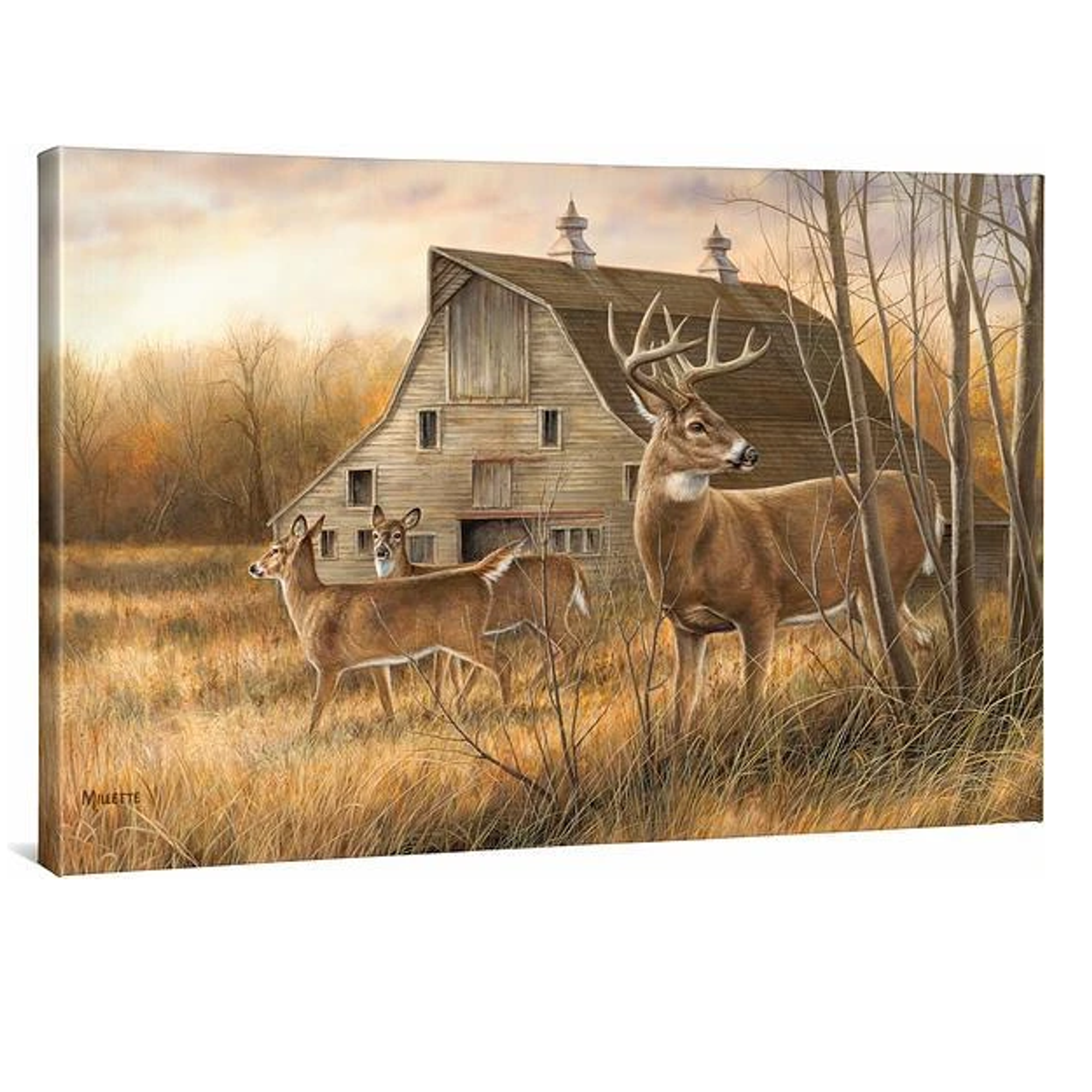 whitetail deer wall art