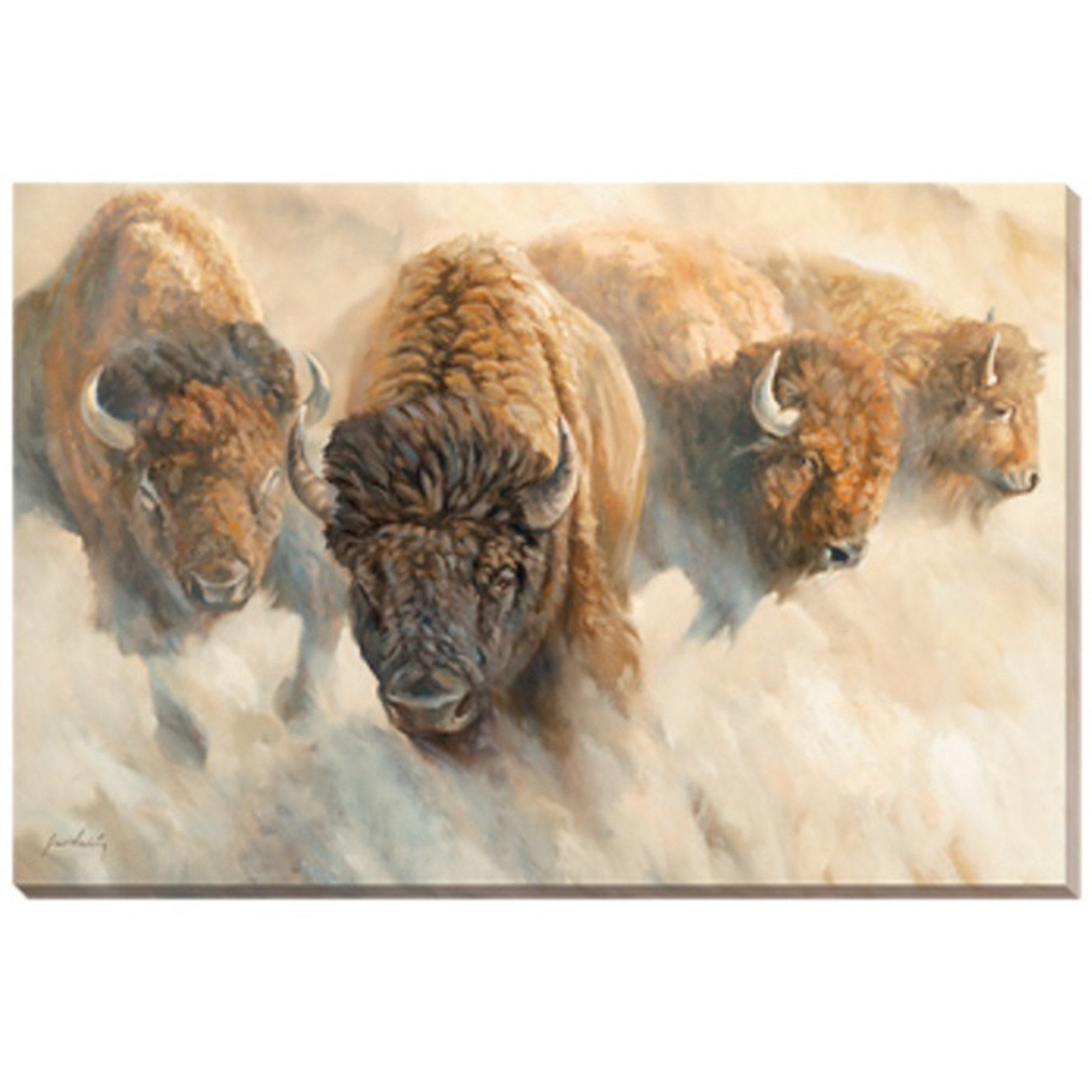 Bison Canvas Wall Art 