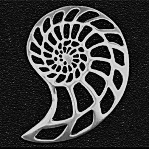 Nautilus Shell Pewter Pin Lovell Designs